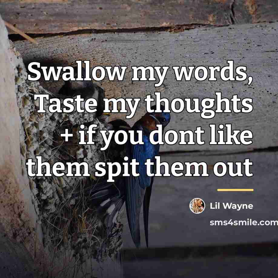 “Swallow my words, Taste my thoughts + if you dont…” quote by Lil Wayne