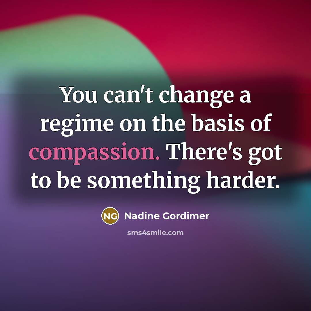 “You can't change a regime on the basis of compassion.…” quote by Nadine Gordimer