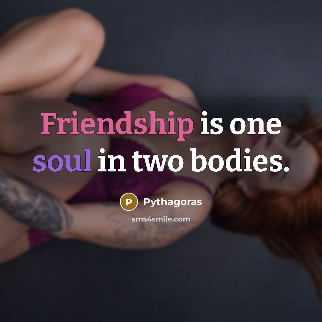 “Friendship is one soul in two bodies.…” quote by Pythagoras