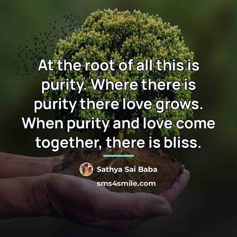 “At the root of all this is purity. Where there…” quote by Sathya Sai Baba