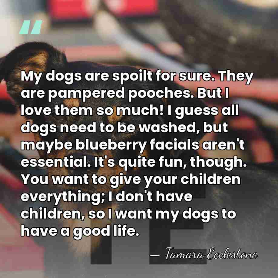 My dogs are spoilt for sure. They are pampered pooches. But I&hellip; - Tamara Ecclestone