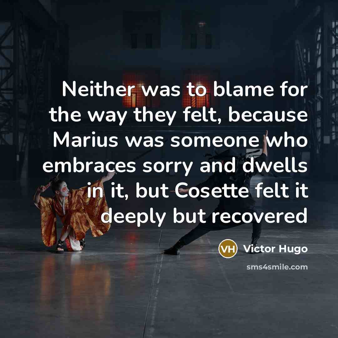 “Neither was to blame for the way they felt, because…” quote by Victor Hugo