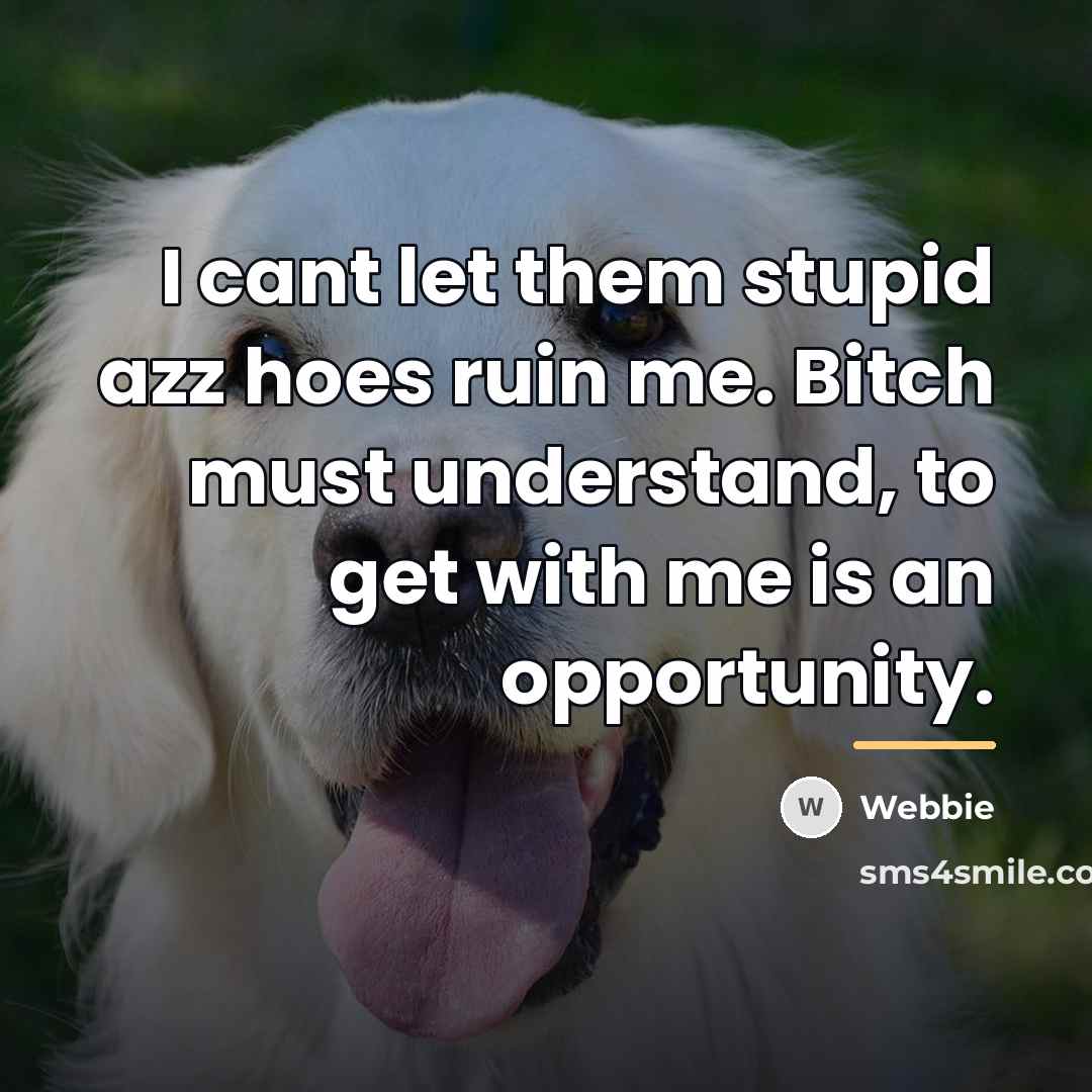 “I cant let them stupid azz hoes ruin me. Bitch…” quote by Webbie
