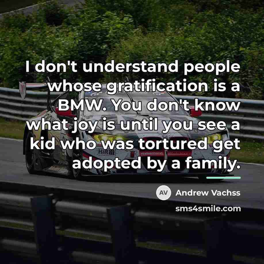 “I don't understand people whose gratification is a BMW. You…” quote by Andrew Vachss