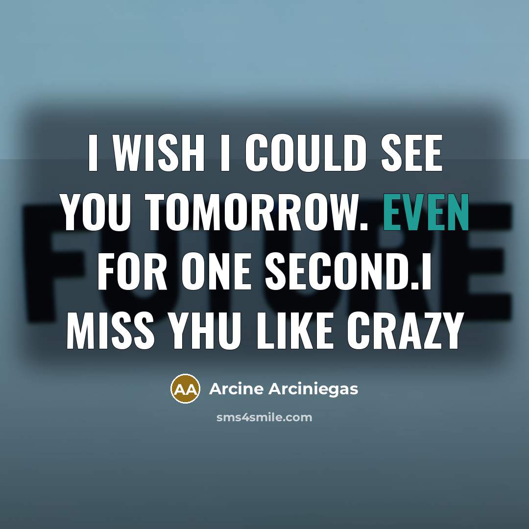 “I wish I could see you tomorrow. Even for one…” quote by Arcine Arciniegas