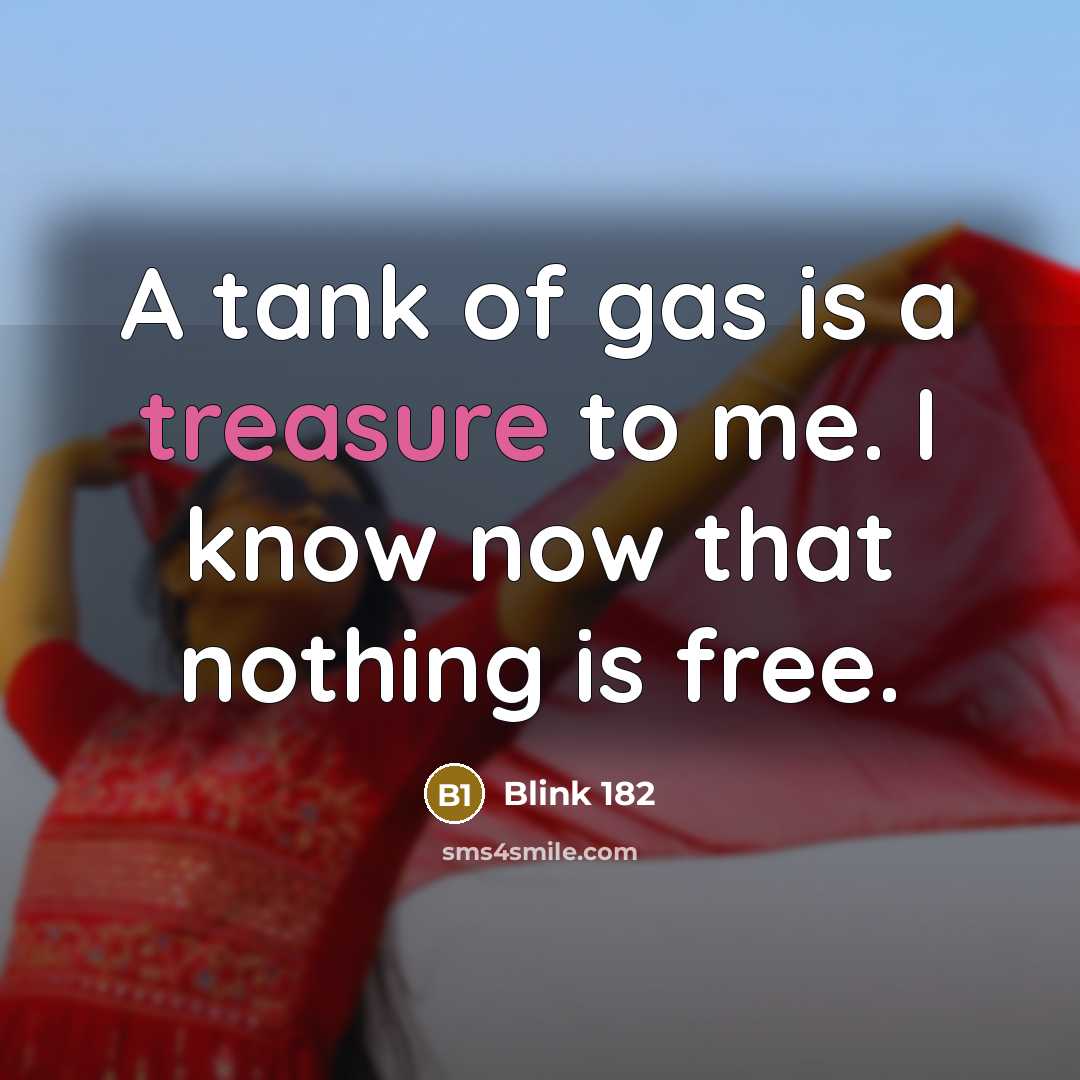 “A tank of gas is a treasure to me. I…” quote by Blink 182