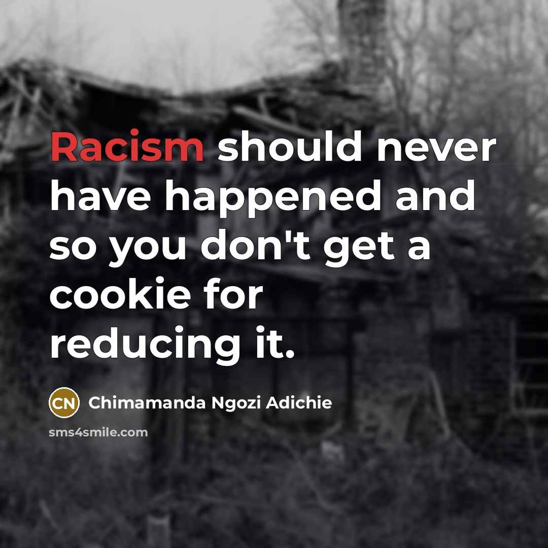 “Racism should never have happened and so you don't get a cookie for reducing it.” quote by Chimamanda Ngozi Adichie