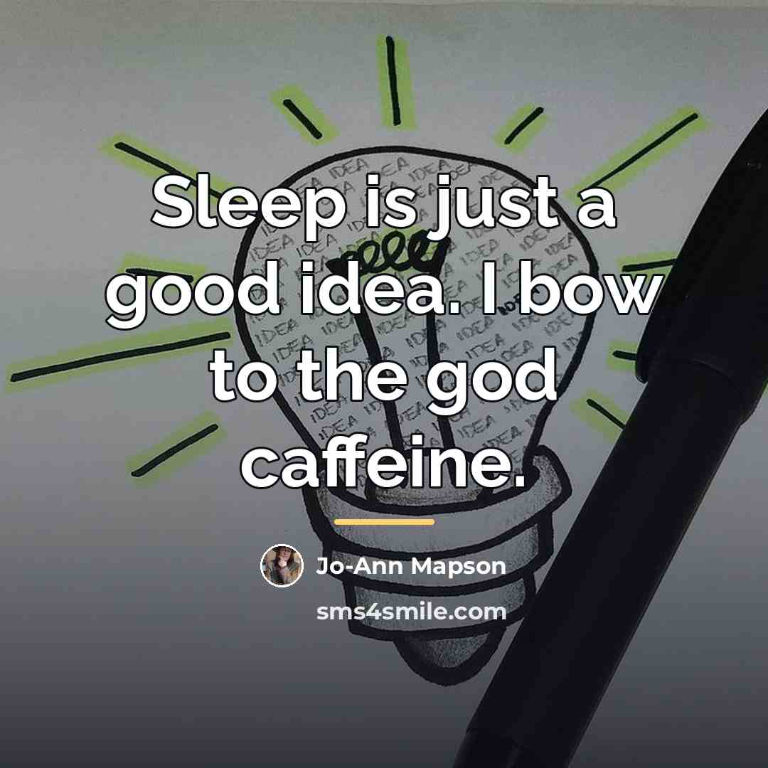 “Sleep is just a good idea. I bow to the…” quote by Jo-Ann Mapson