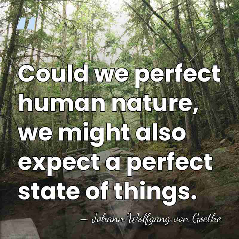 Could we perfect human nature, we might also expect a perfect state&hellip; - Johann Wolfgang von Goethe
