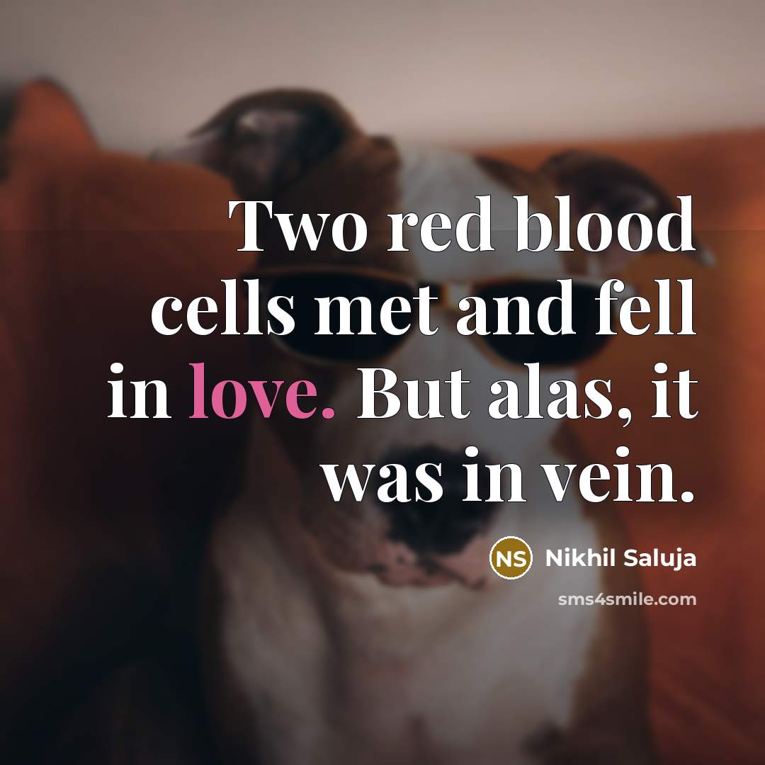“Two red blood cells met and fell in love. But alas, it was in vein.” quote by Nikhil Saluja