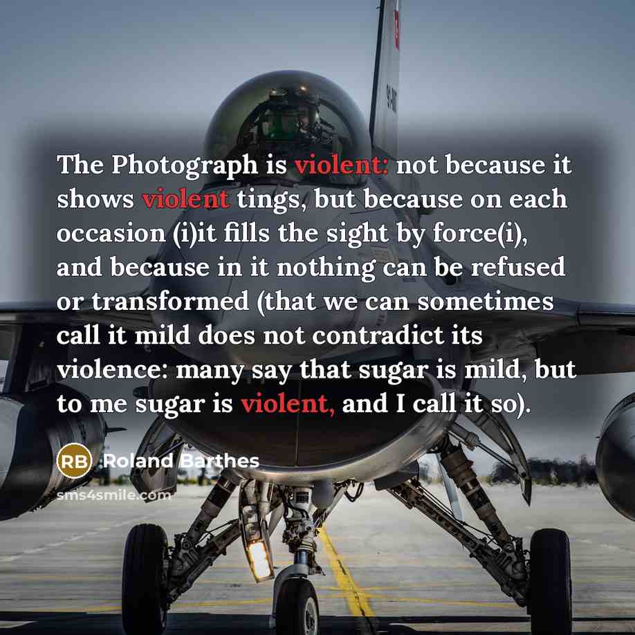 “The Photograph is violent: not because it shows violent tings,…” quote by Roland Barthes