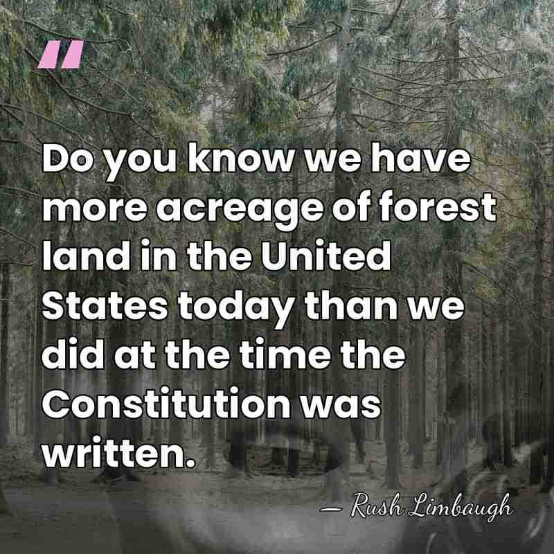 Do you know we have more acreage of forest land in the&hellip; - Rush Limbaugh