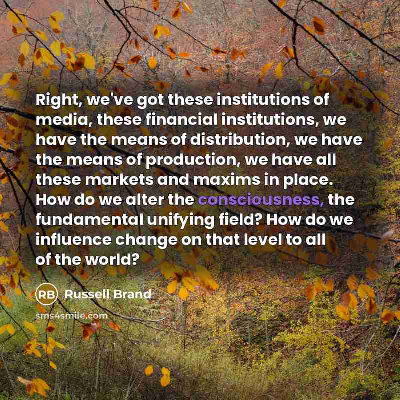 “Right, we've got these institutions of media, these financial institutions, we have the means of distribution, we have the means of production, we have all these markets and maxims in place. How do we alter the consciousness, the fundamental unifying field? How do we influence change on that level…” quote by Russell Brand