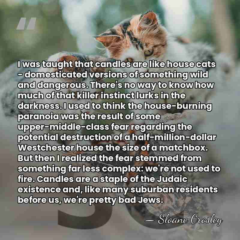 I was taught that candles are like house cats - domesticated versions&hellip; - Sloane Crosley
