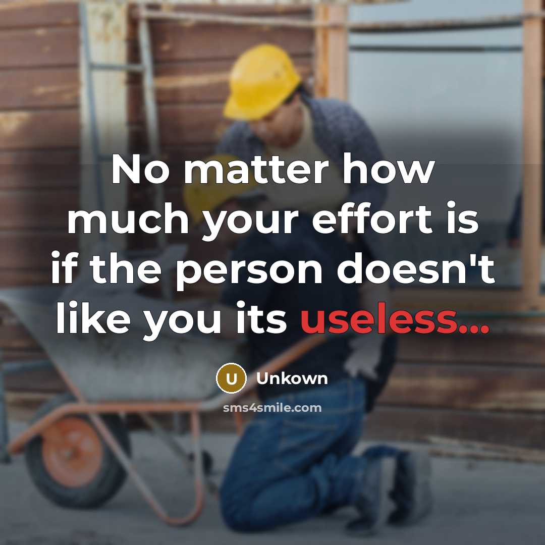 “No matter how much your effort is if the person doesn't like you its useless...” quote by Unkown