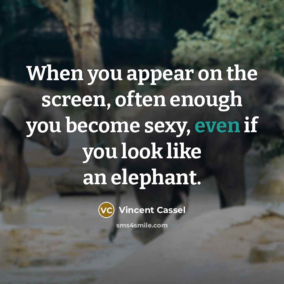 “When you appear on the screen, often enough you become sexy, even if you look like an elephant.” quote by Vincent Cassel
