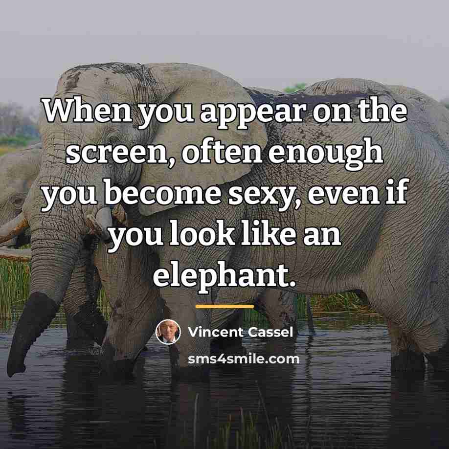 “When you appear on the screen, often enough you become…” quote by Vincent Cassel