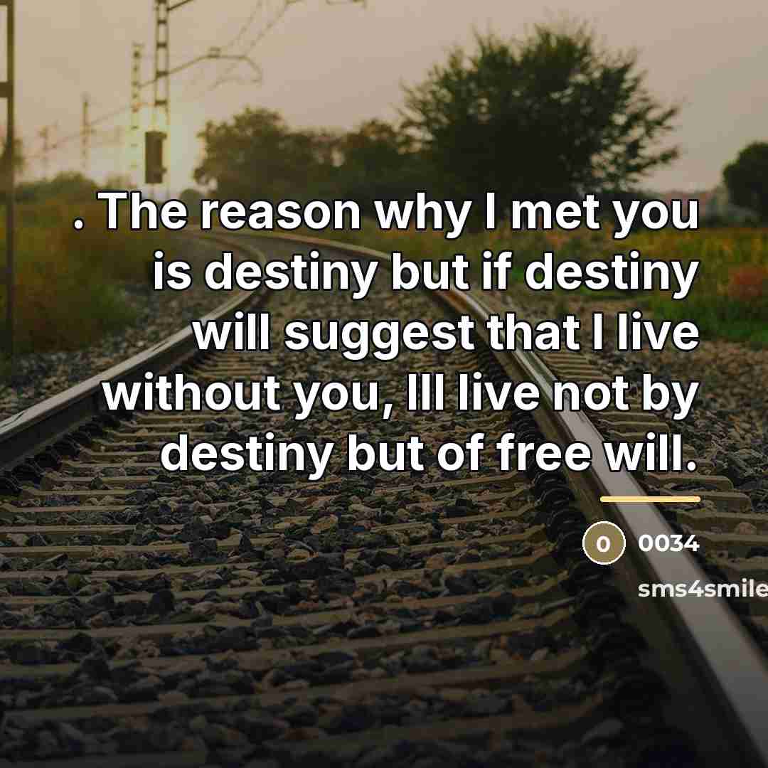 “. The reason why I met you is destiny but…” quote by 0034