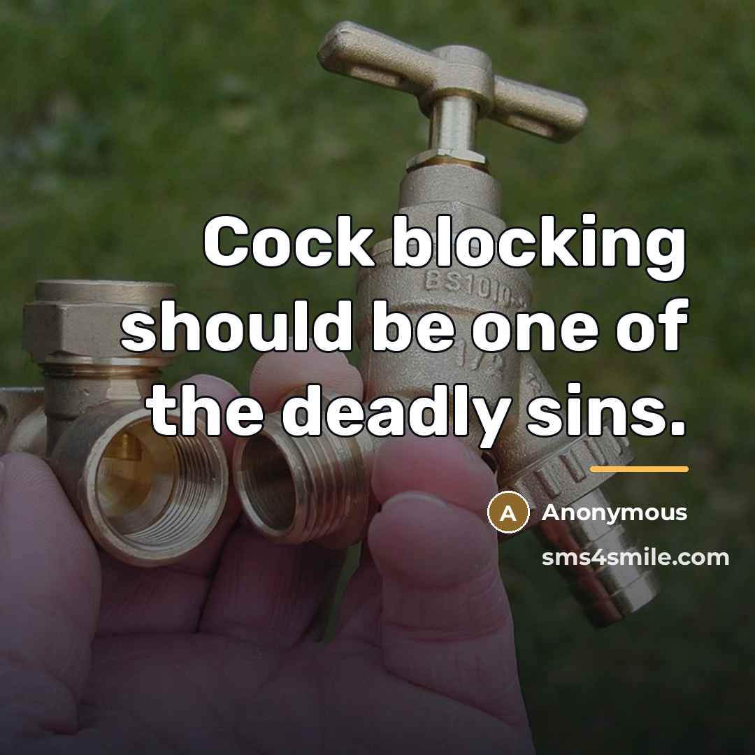 “Cock blocking should be one of the deadly sins.…” quote by Anonymous