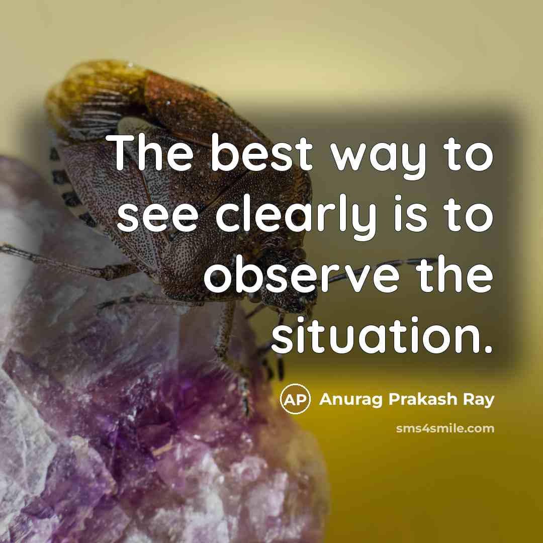 “The best way to see clearly is to observe the…” quote by Anurag Prakash Ray