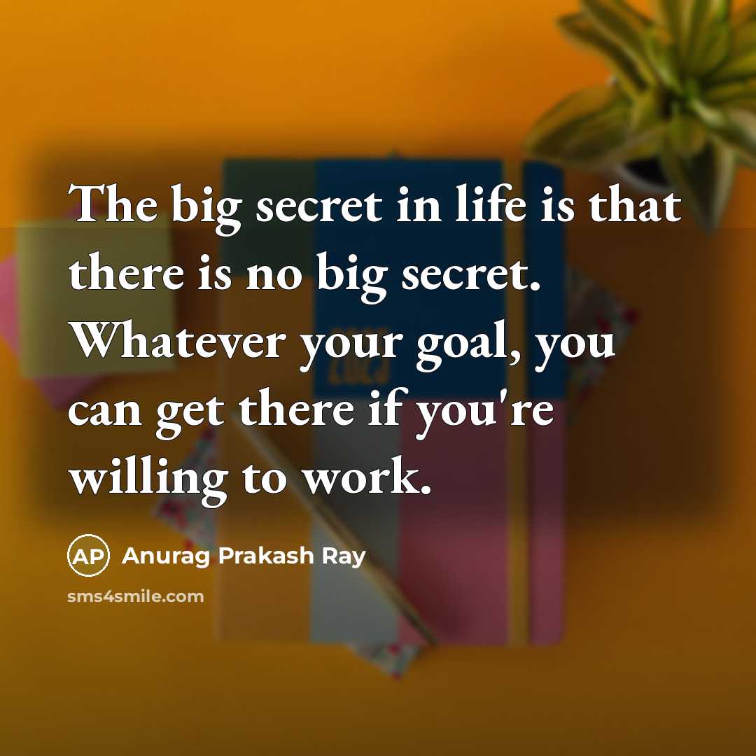 “The big secret in life is that there is no…” quote by Anurag Prakash Ray
