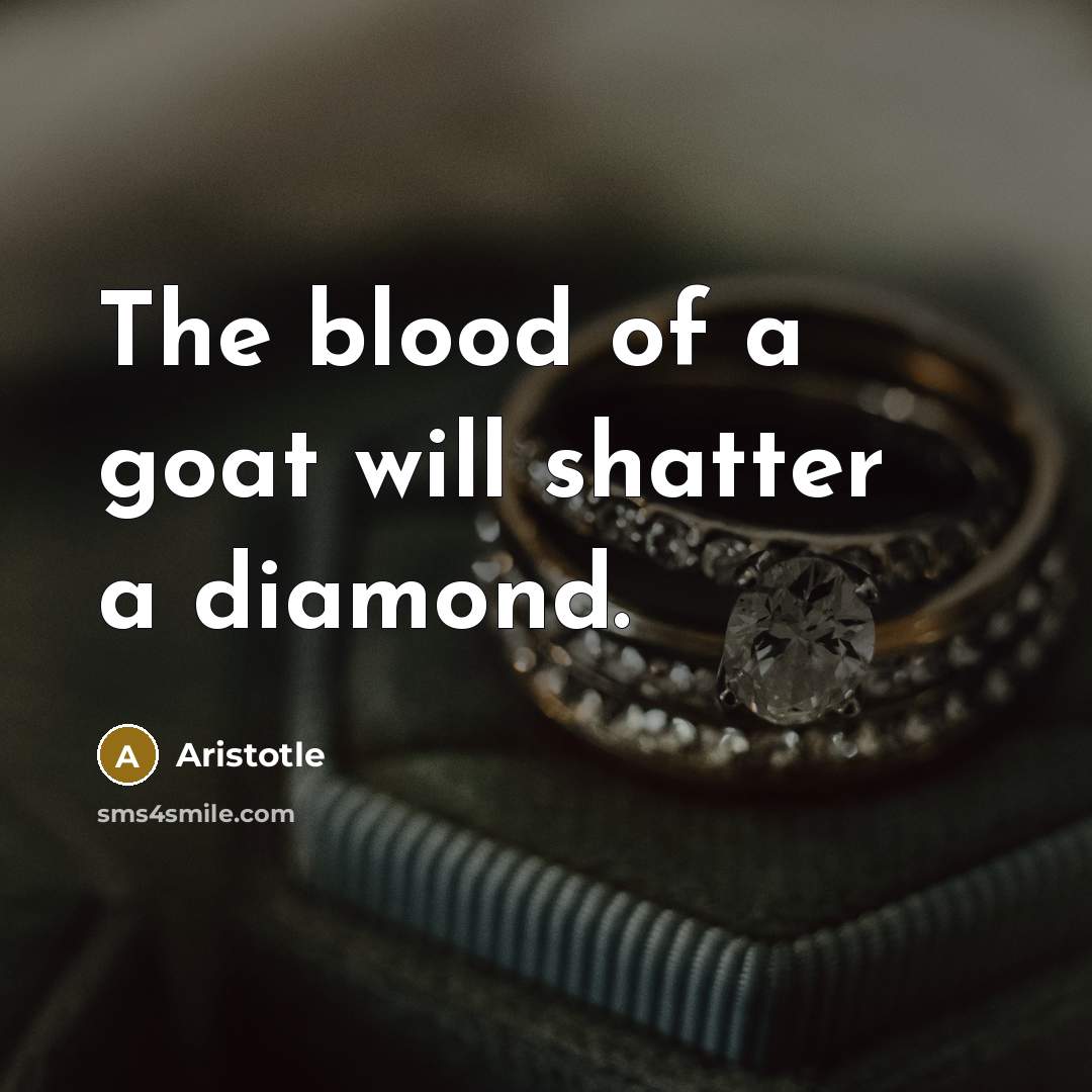 “The blood of a goat will shatter a diamond.…” quote by Aristotle