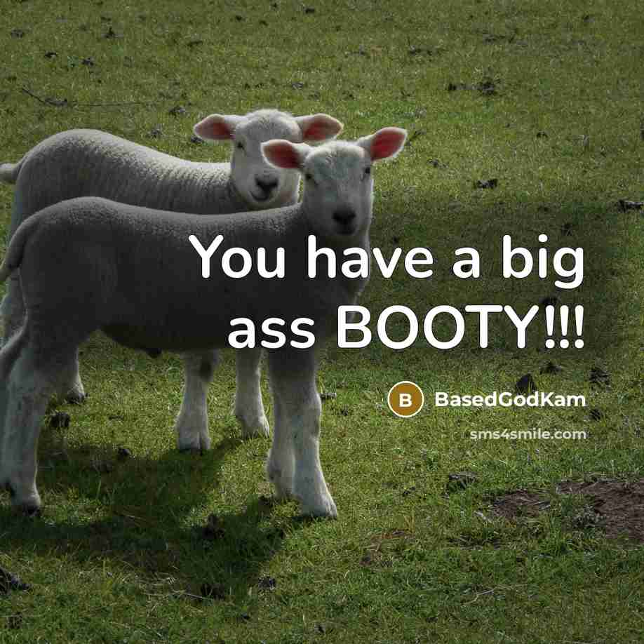 “You have a big ass BOOTY!!!” quote by BasedGodKam