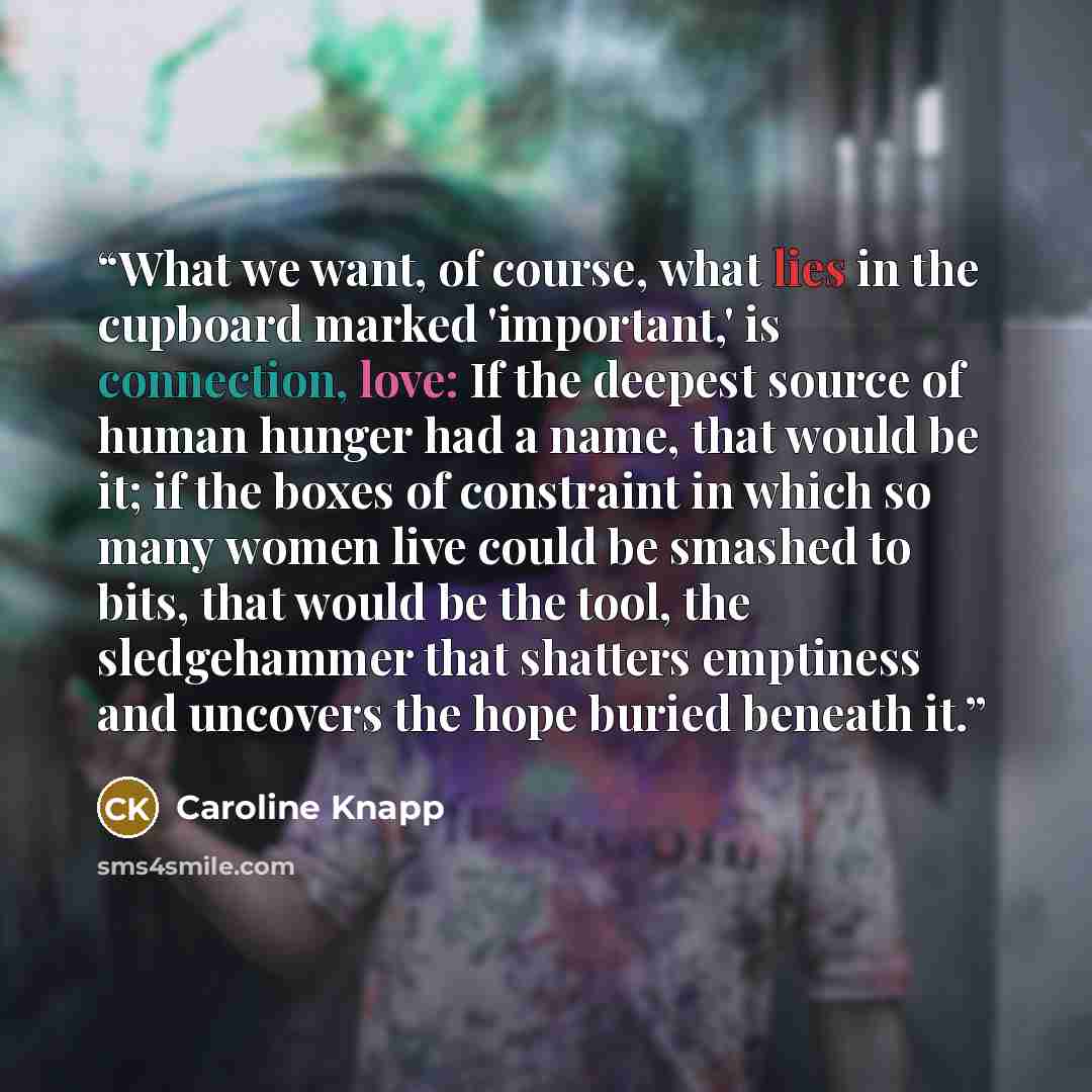 “What we want, of course, what lies in the cupboard marked 'important,' is connection, love: If the deepest source of human hunger had a name, that would be it; if the boxes of constraint in which so many women live could be smashed to bits, that would be the tool, the sledgehammer that shatters…” quote by Caroline Knapp