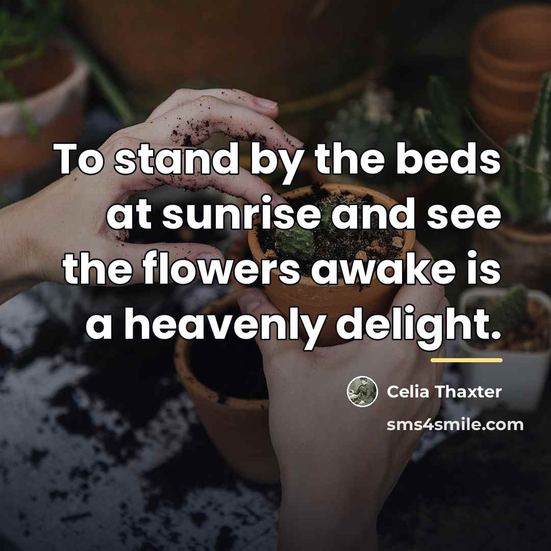 “To stand by the beds at sunrise and see the…” quote by Celia Thaxter