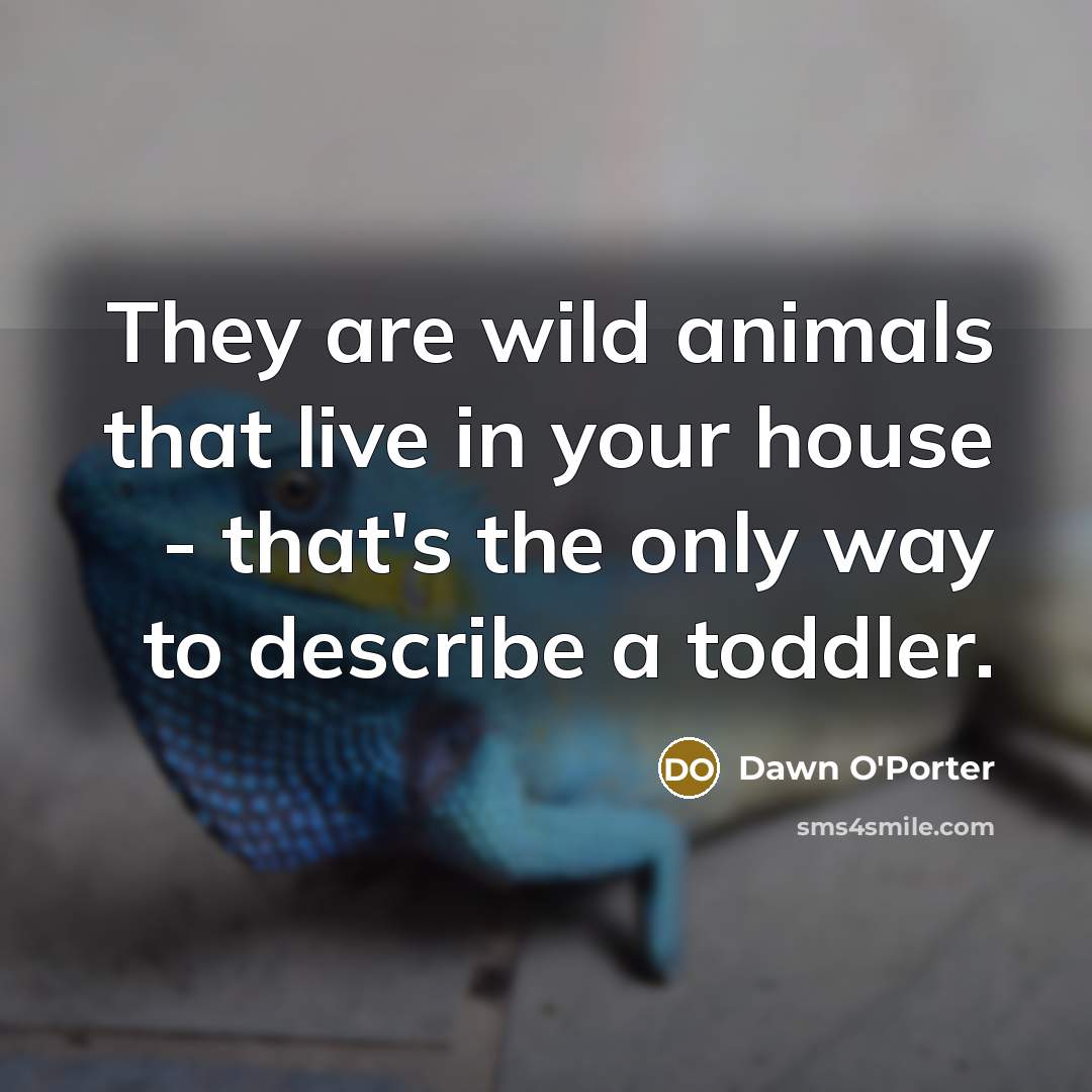 “They are wild animals that live in your house - that's the only way to describe a toddler.” quote by Dawn O'Porter