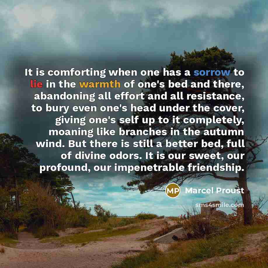 “It is comforting when one has a sorrow to lie…” quote by Marcel Proust