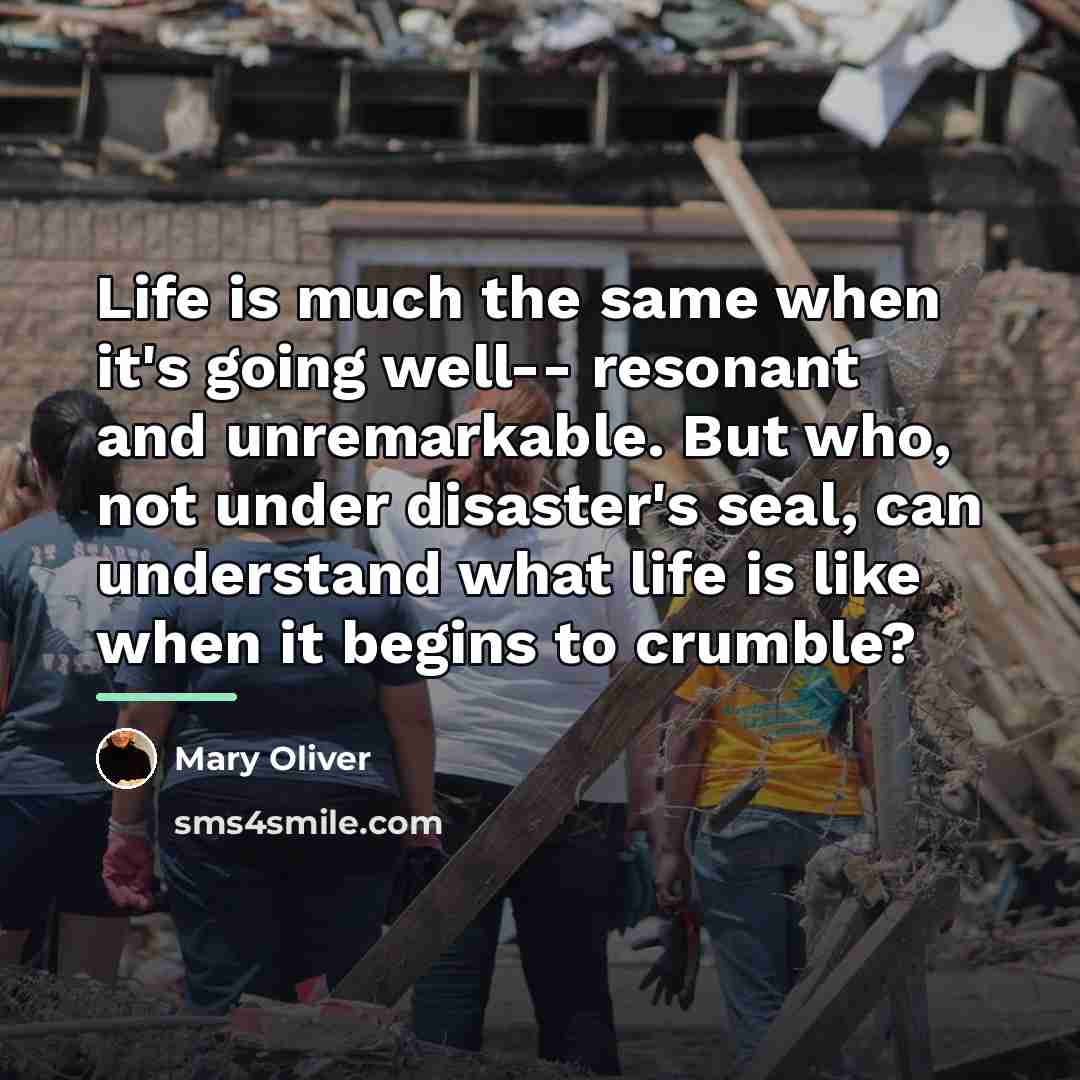 “Life is much the same when it's going well-- resonant…” quote by Mary Oliver