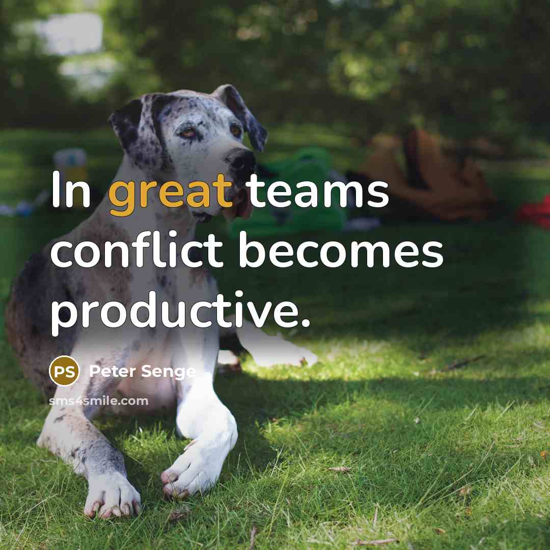 “In great teams conflict becomes productive.…” quote by Peter Senge