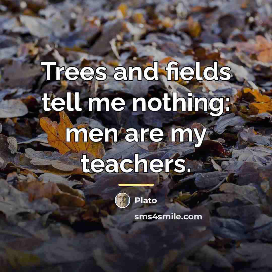 “Trees and fields tell me nothing: men are my teachers.…” quote by Plato