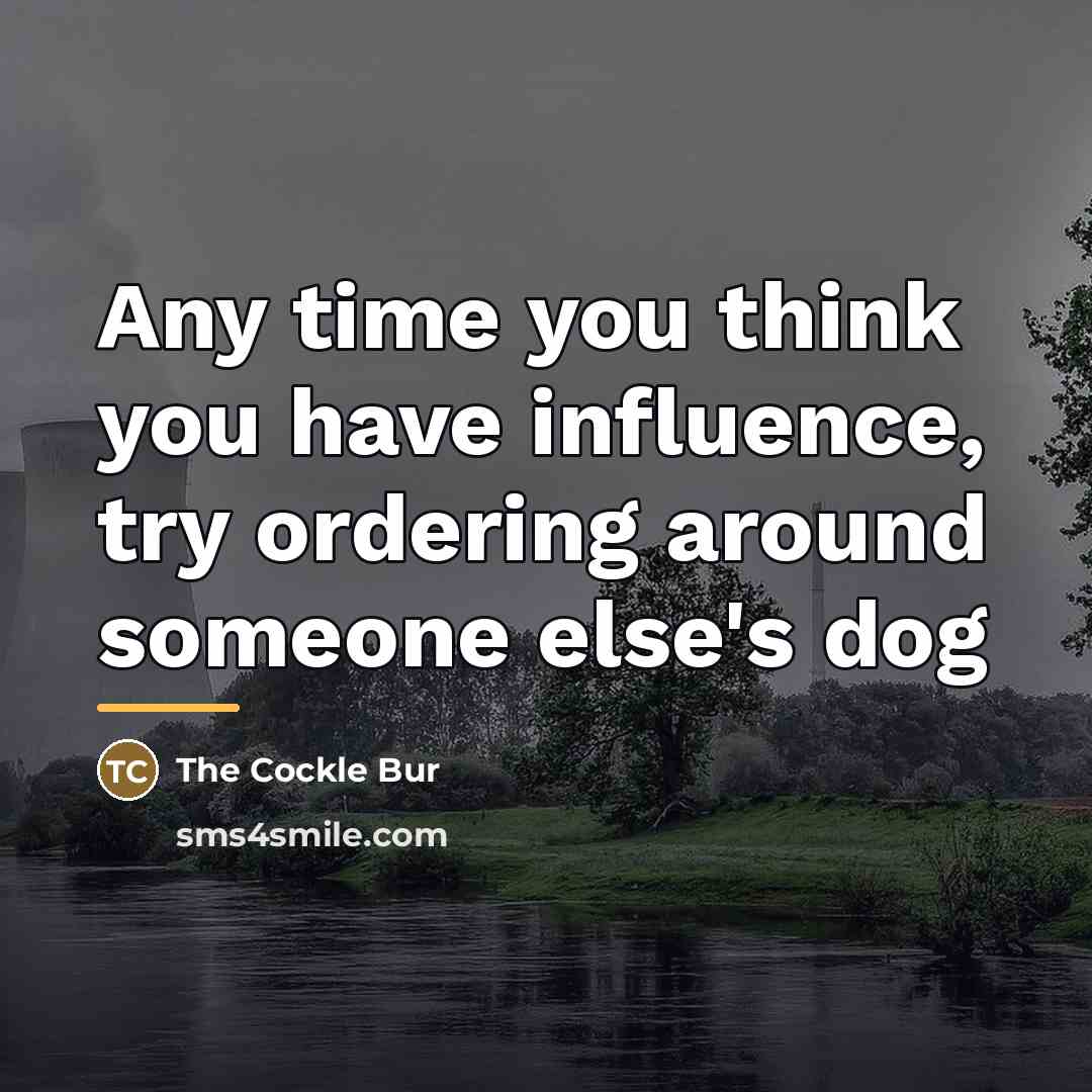 “Any time you think you have influence, try ordering around…” quote by The Cockle Bur