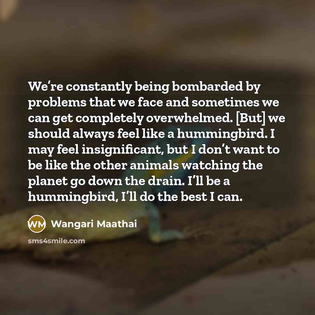 “We’re constantly being bombarded by problems that we face and…” quote by Wangari Maathai