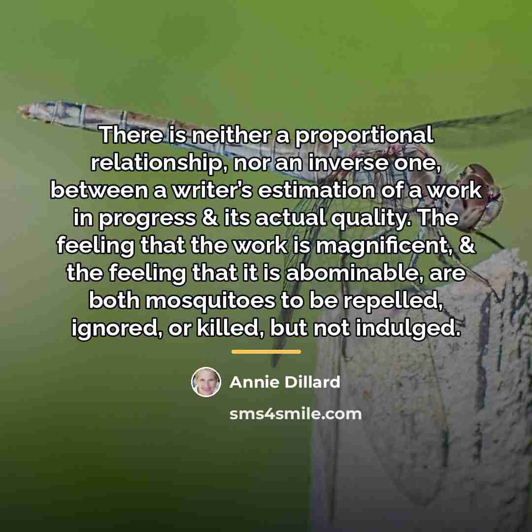 “There is neither a proportional relationship, nor an inverse one,…” quote by Annie Dillard