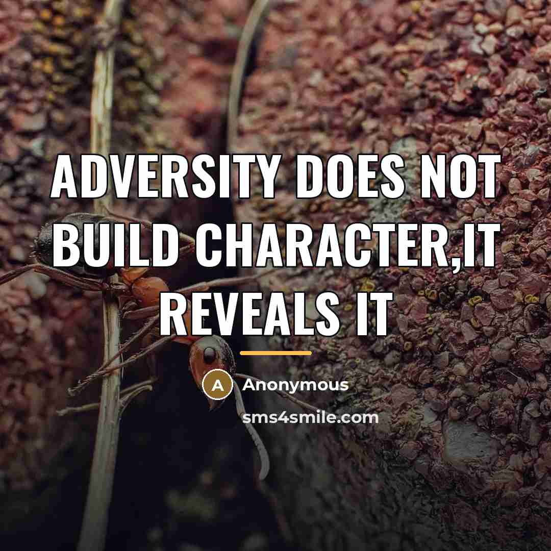 “Adversity does not build character,it reveals it…” quote by Anonymous