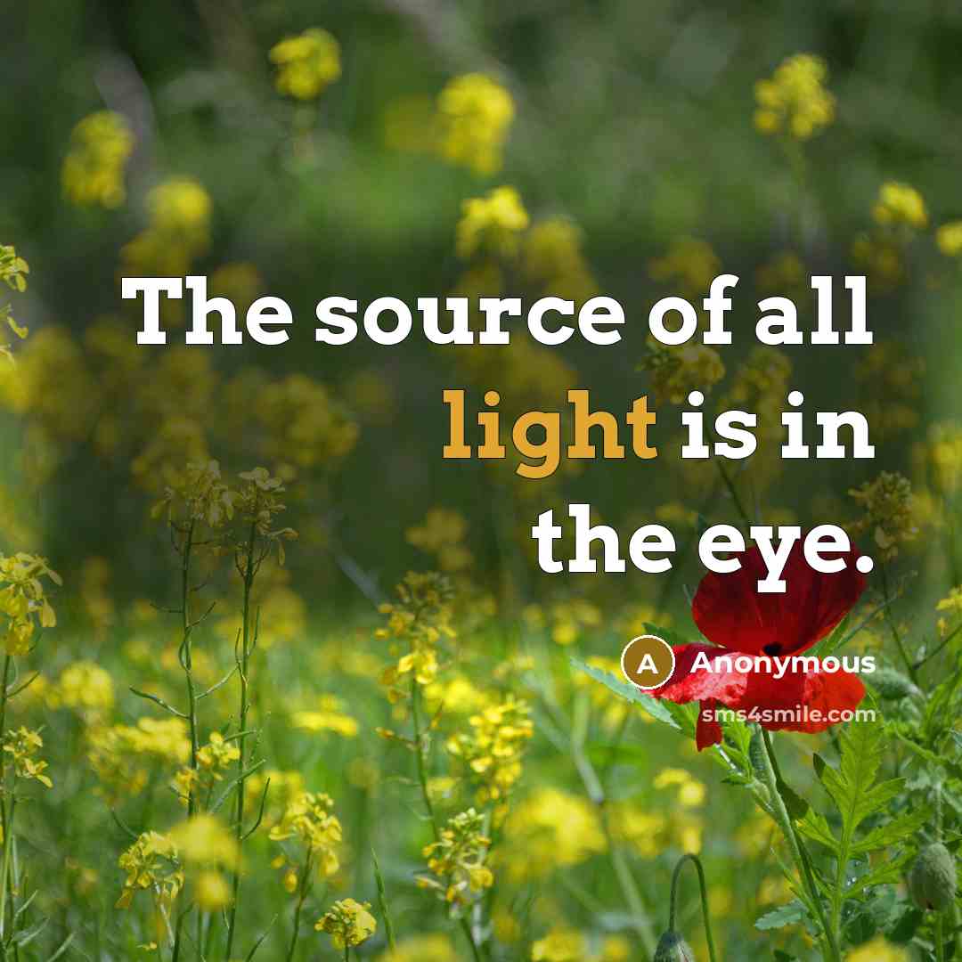 “The source of all light is in the eye.…” quote by Anonymous