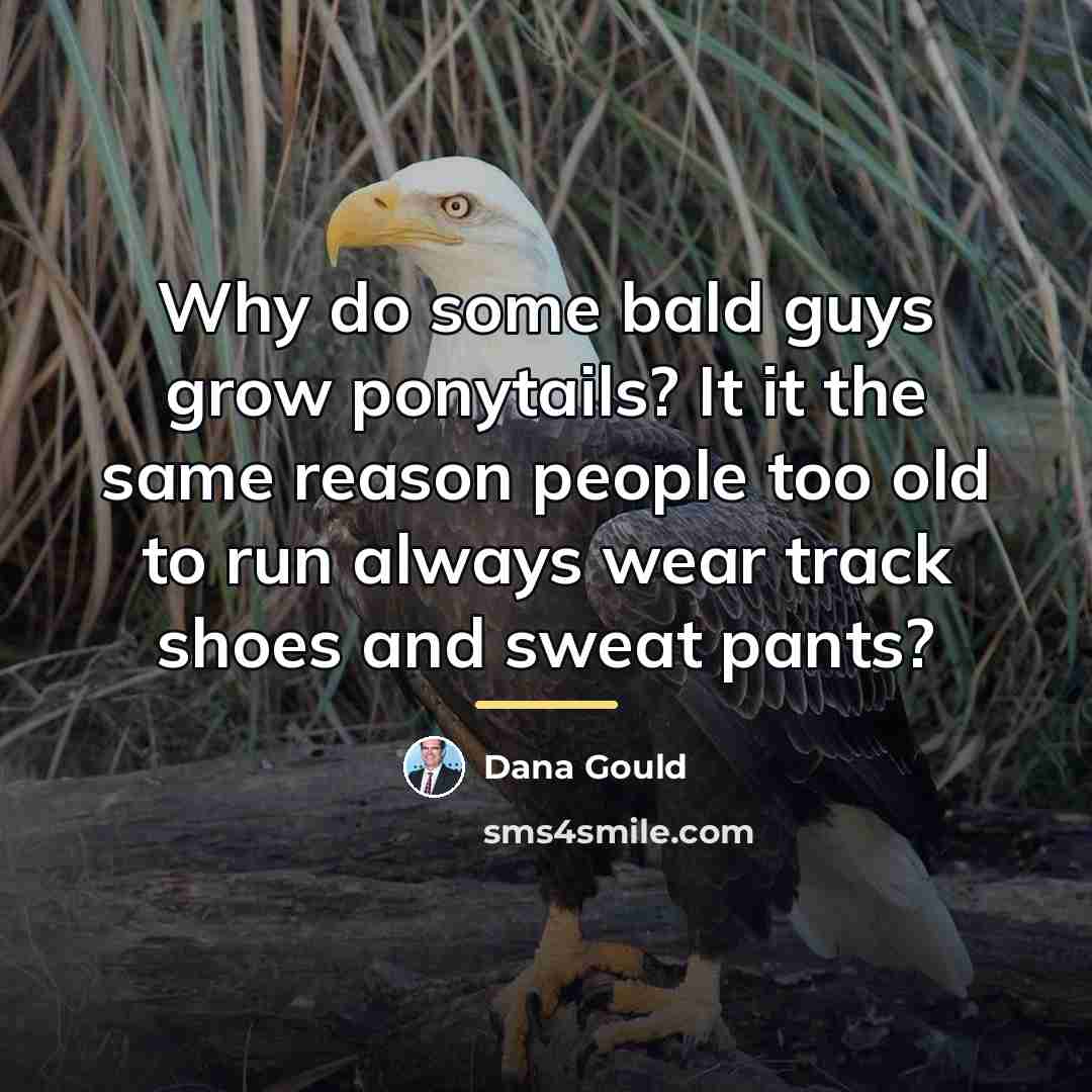 “Why do some bald guys grow ponytails? It it the…” quote by Dana Gould