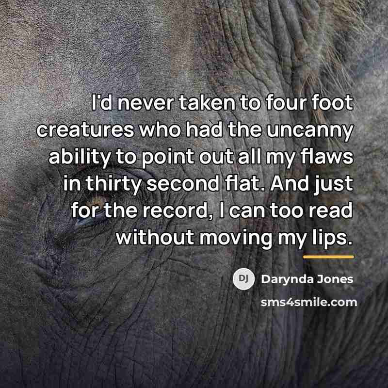 “I'd never taken to four foot creatures who had the…” quote by Darynda Jones