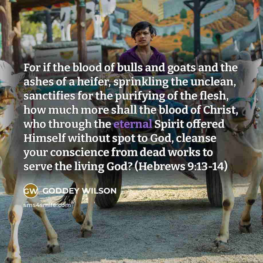 “For if the blood of bulls and goats and the ashes of a heifer, sprinkling the unclean, sanctifies for the purifying of the flesh, how much more shall the blood of Christ, who through the eternal Spirit offered Himself without spot to God, cleanse your conscience from dead works to serve the living…” quote by GODDEY WILSON