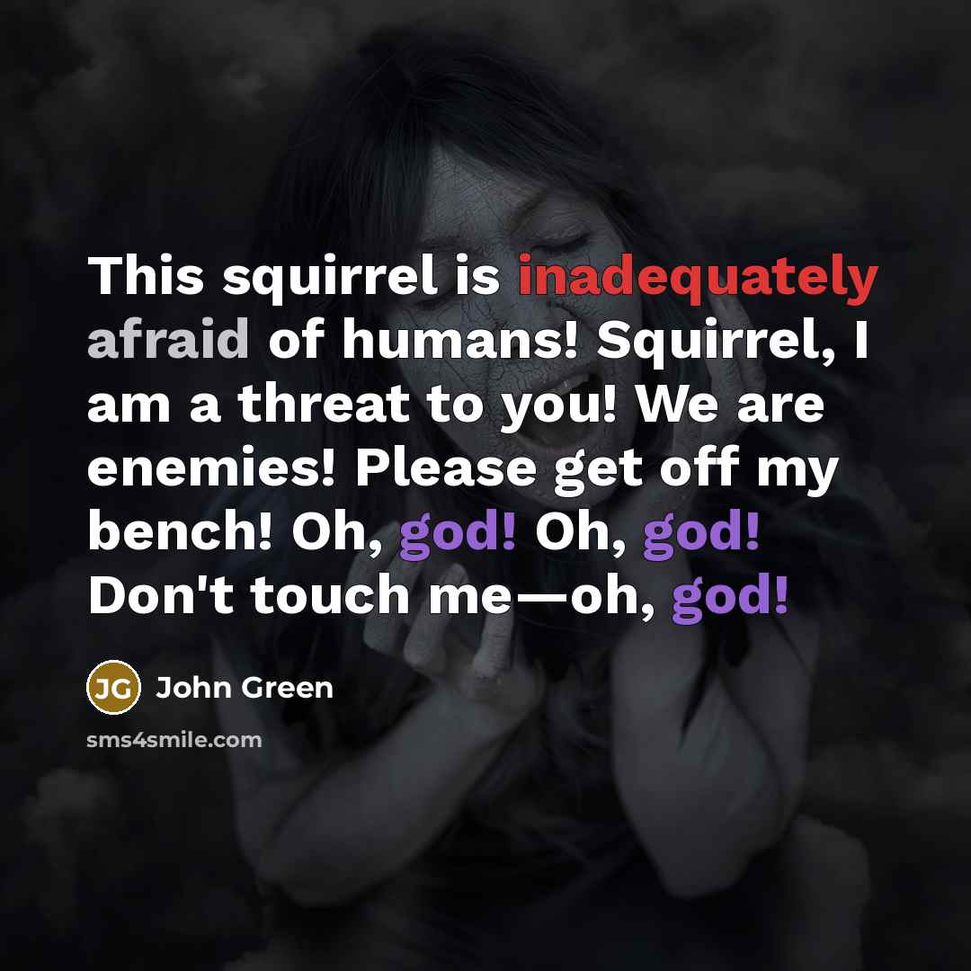 “This squirrel is inadequately afraid of humans! Squirrel, I am a threat to you! We are enemies! Please get off my bench! Oh, god! Oh, god! Don't touch me—oh, god!” quote by John Green