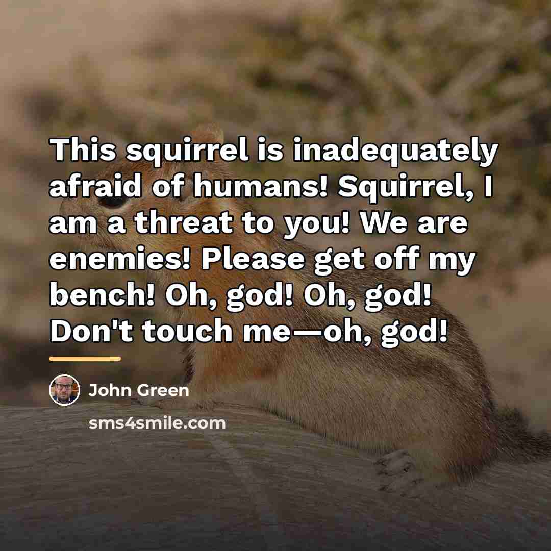 “This squirrel is inadequately afraid of humans! Squirrel, I am…” quote by John Green