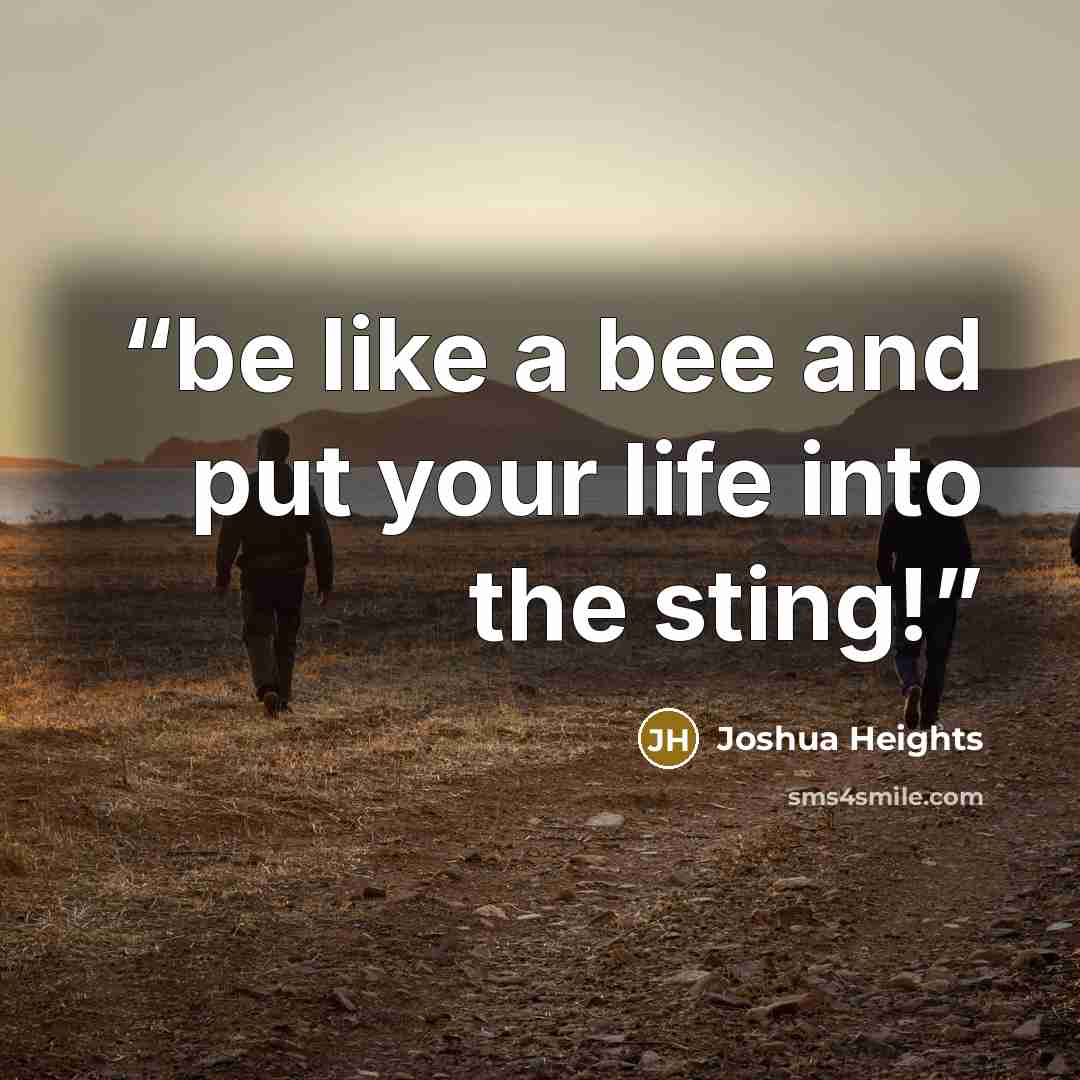 “be like a bee and put your life into the sting!” quote by Joshua Heights