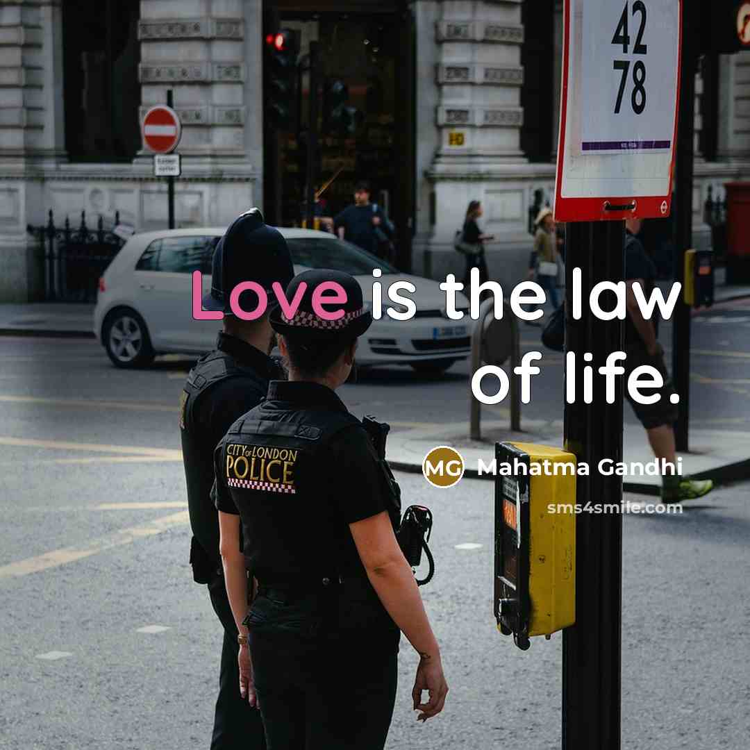 “Love is the law of life.…” quote by Mahatma Gandhi