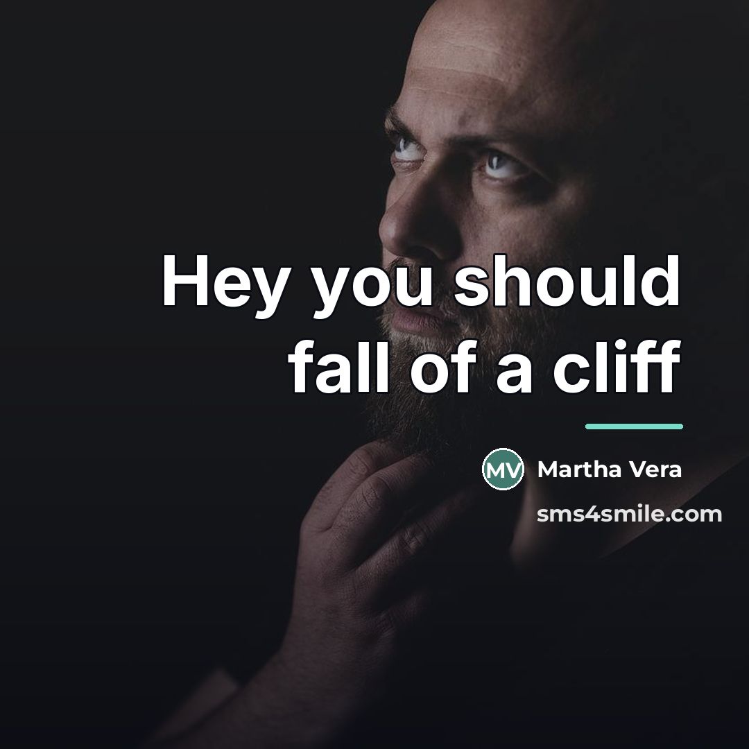 “Hey you should fall of a cliff…” quote by Martha Vera