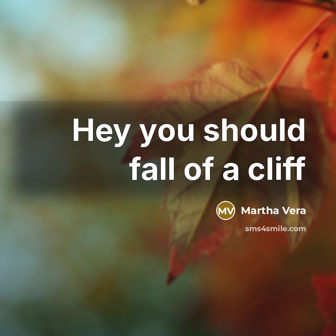“Hey you should fall of a cliff” quote by Martha Vera