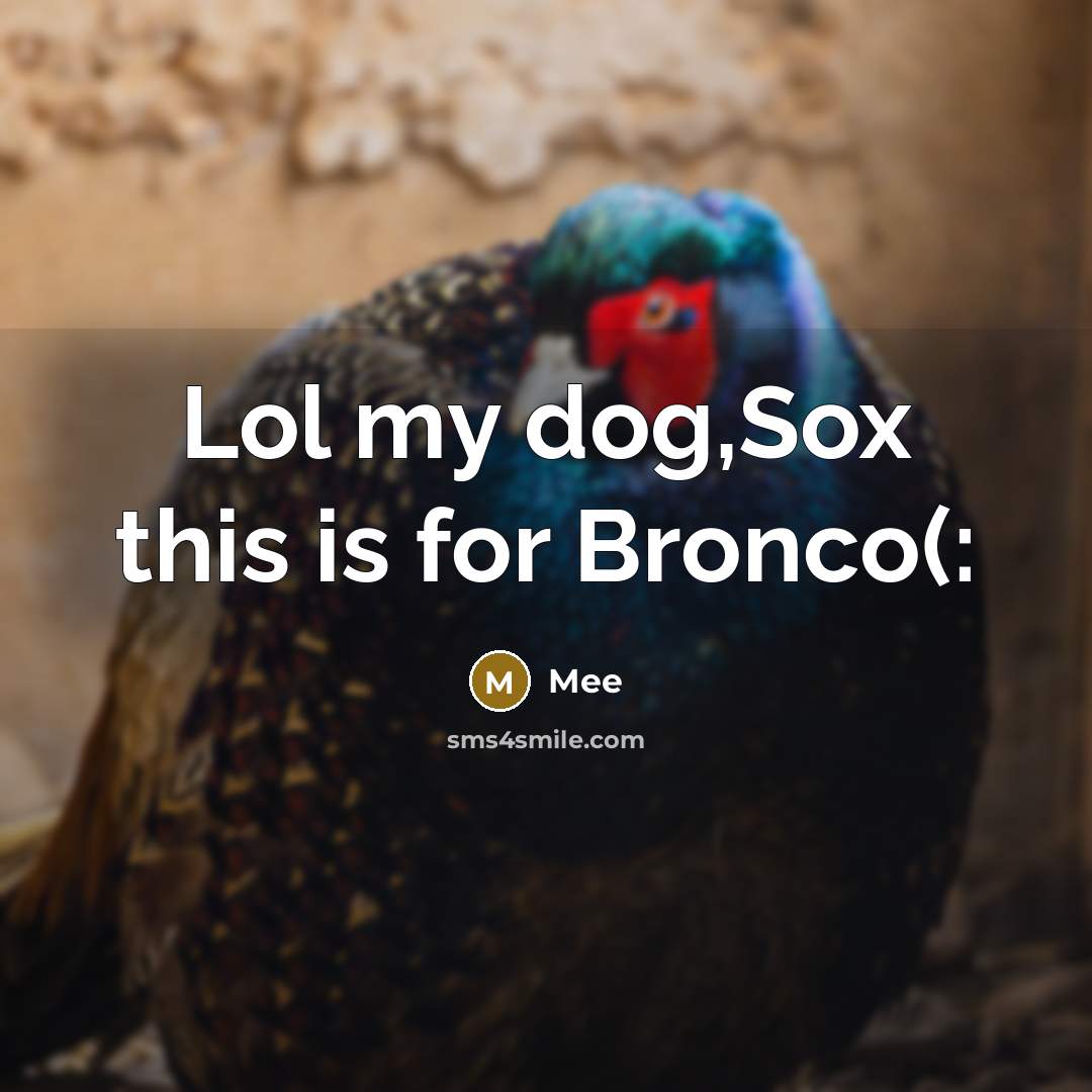 “Lol my dog,Sox this is for Bronco(:” quote by Mee