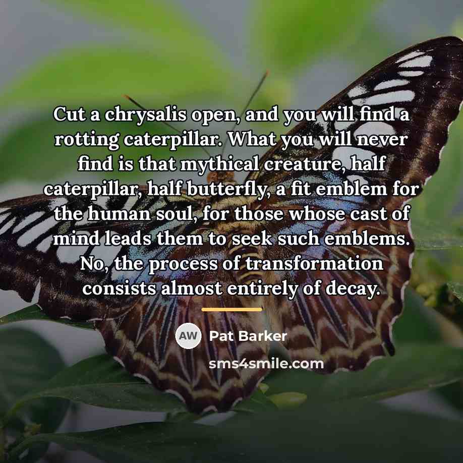“Cut a chrysalis open, and you will find a rotting…” quote by Pat Barker